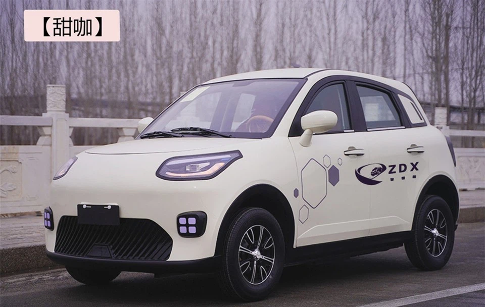 低速電気自動車ミニカーZDX P15
